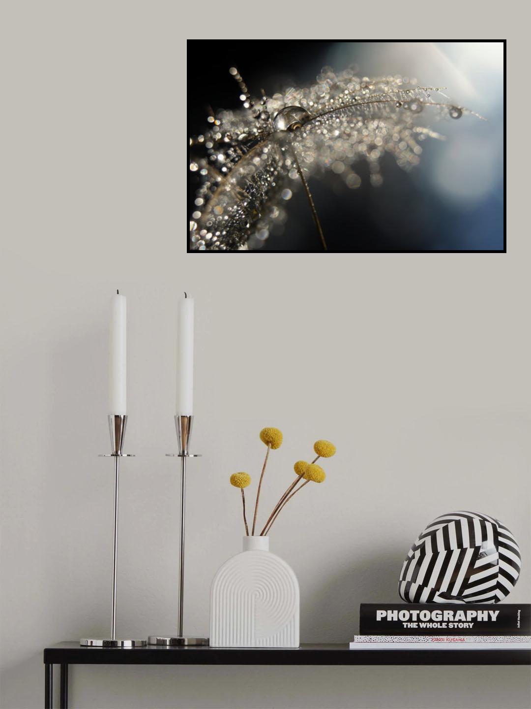 Reflection explotion Poster och Canvastavla