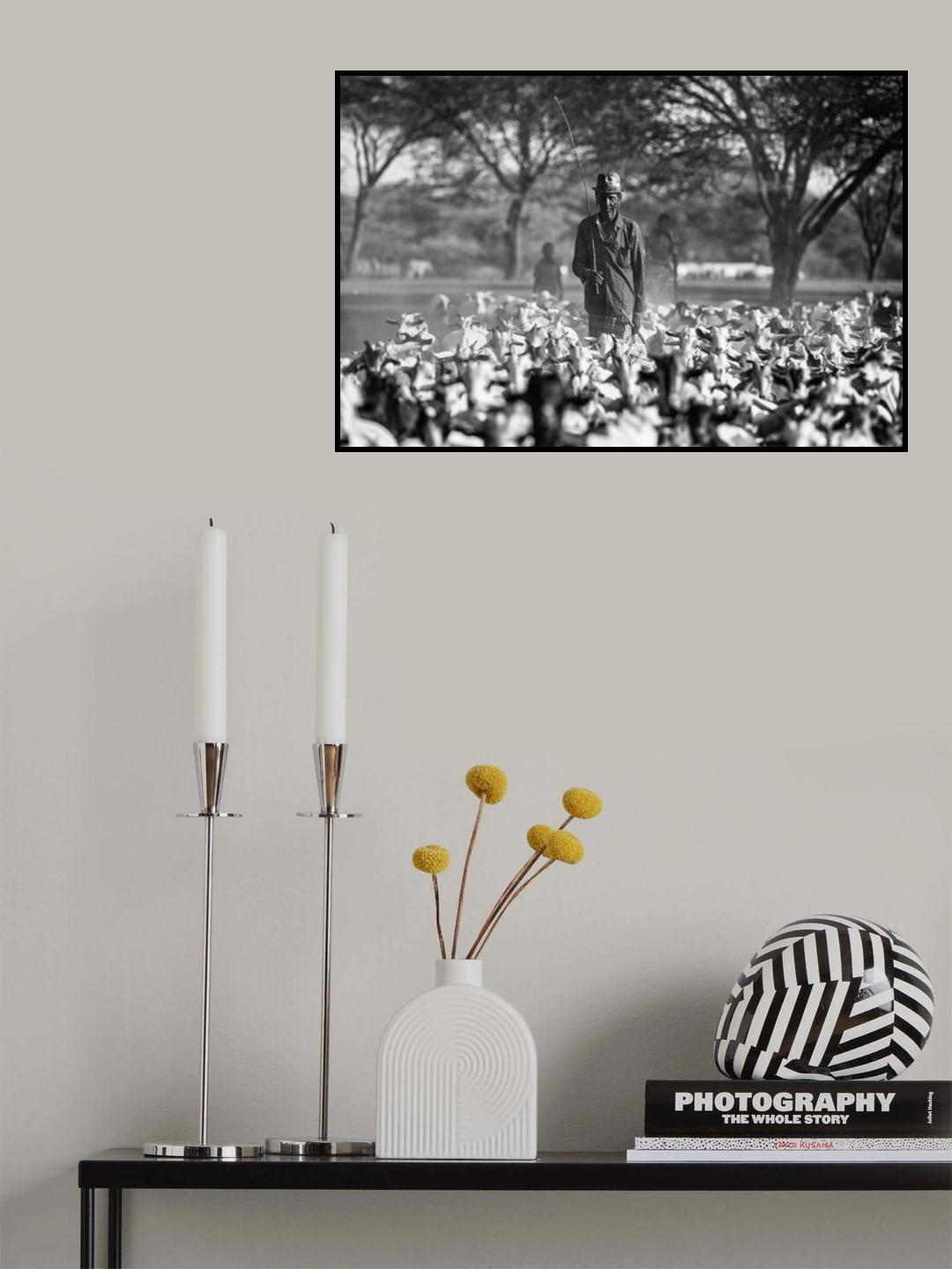 Shepherd Poster och Canvastavla
