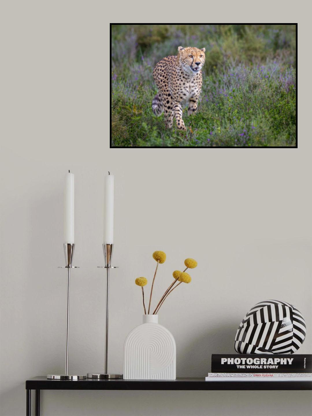 Beauty in the wildflowers Poster och Canvastavla