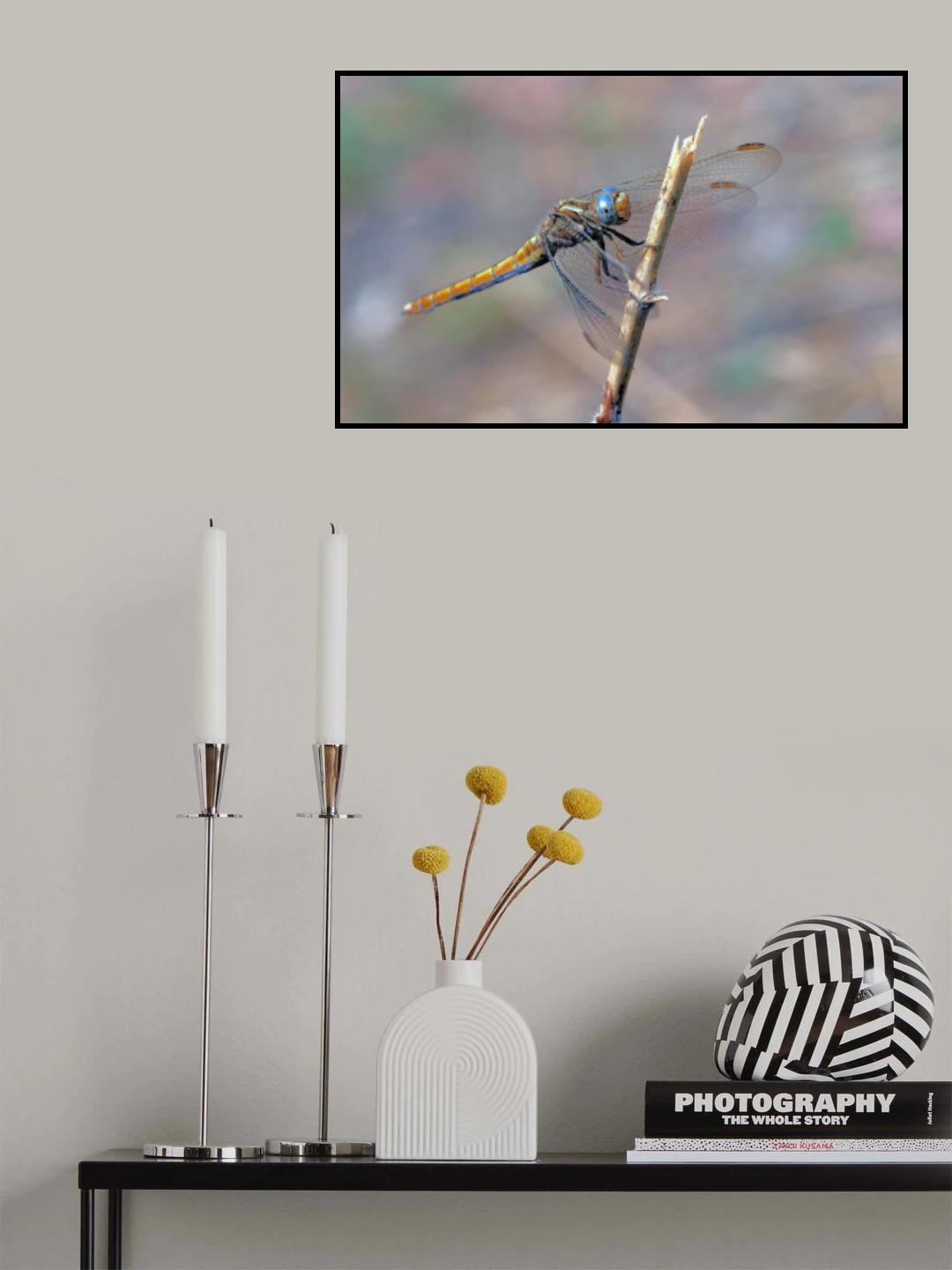 Waiting for its prey... Poster och Canvastavla
