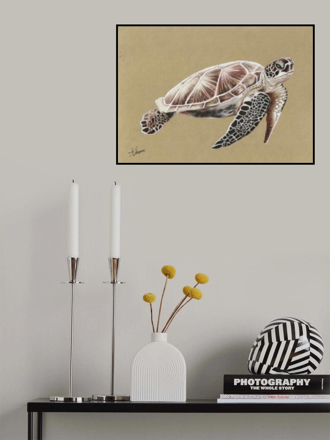 Sea Turtle Poster och Canvastavla