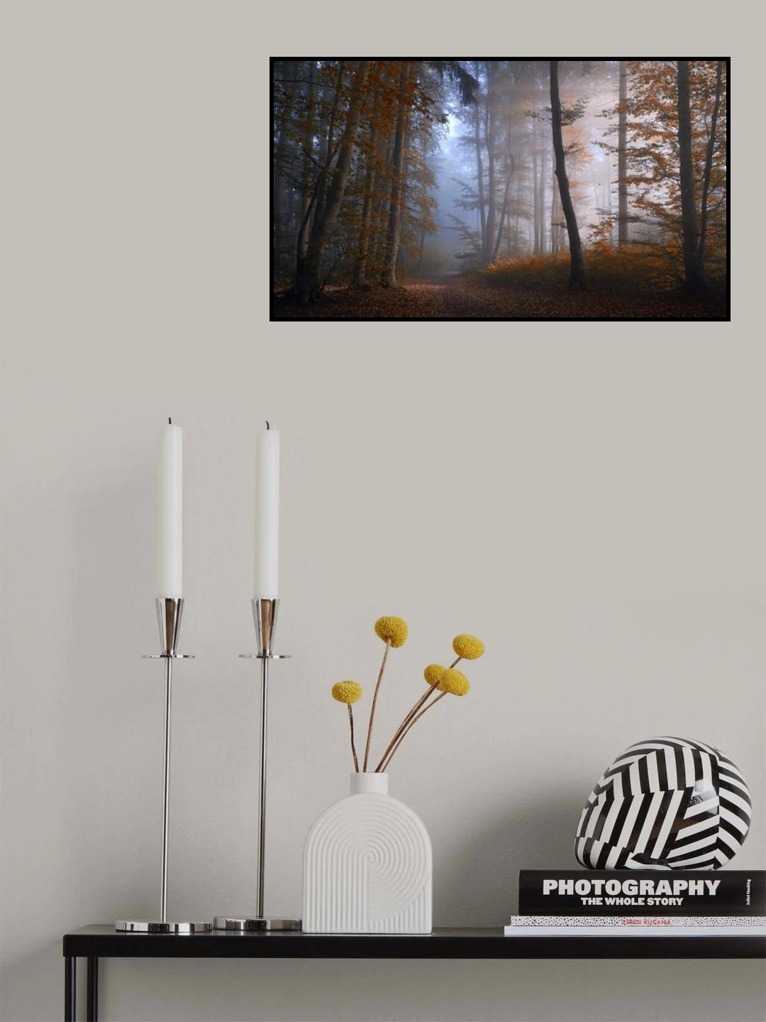autumn colors Poster och Canvastavla
