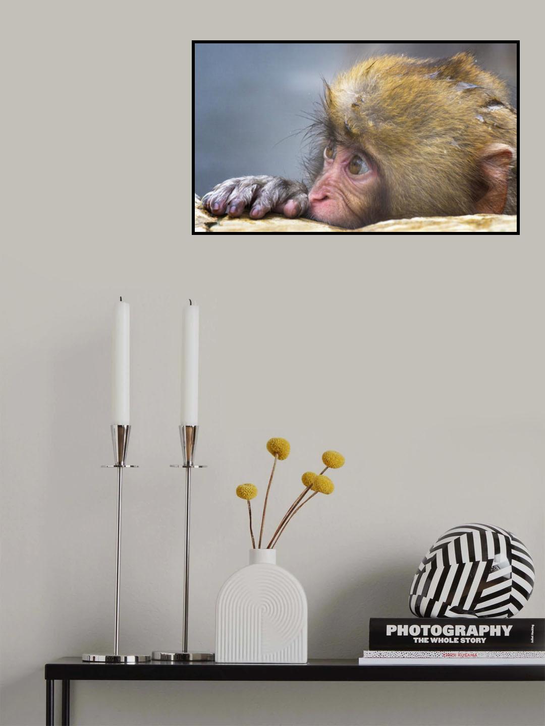 Getting Bored Poster och Canvastavla