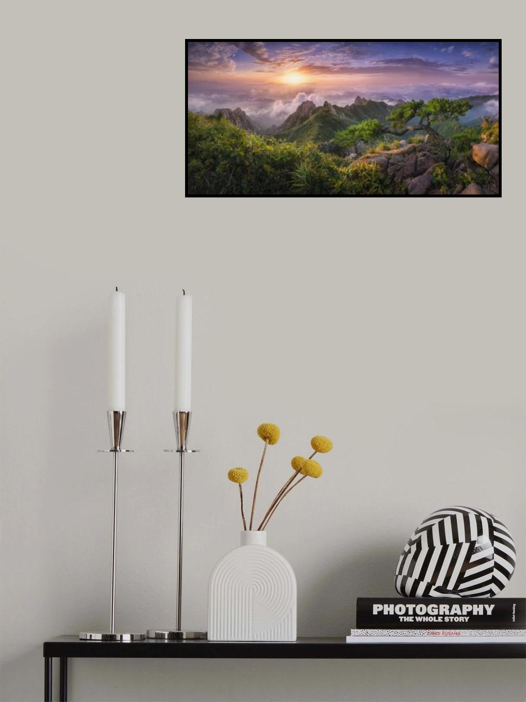 Pine tree on the rock Poster och Canvastavla
