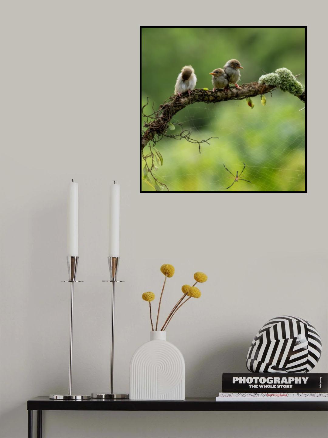 Spider and the birds Poster och Canvastavla