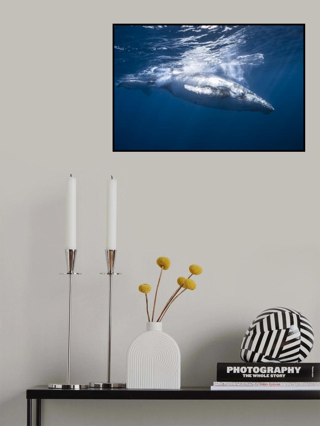 Humpback whale of Réunion Island Poster och Canvastavla