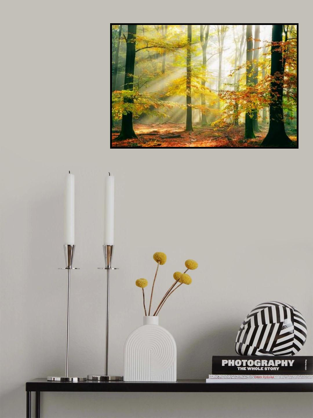 Sinfonia della Foresta Poster och Canvastavla