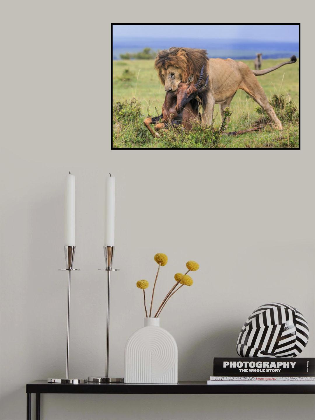 Life vs Death Poster och Canvastavla