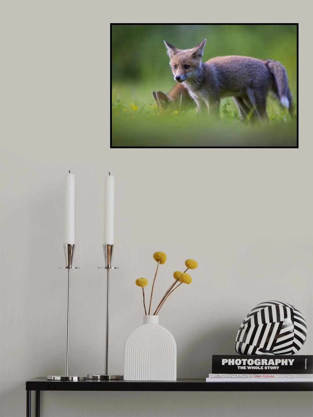 tail to tail Poster och Canvastavla