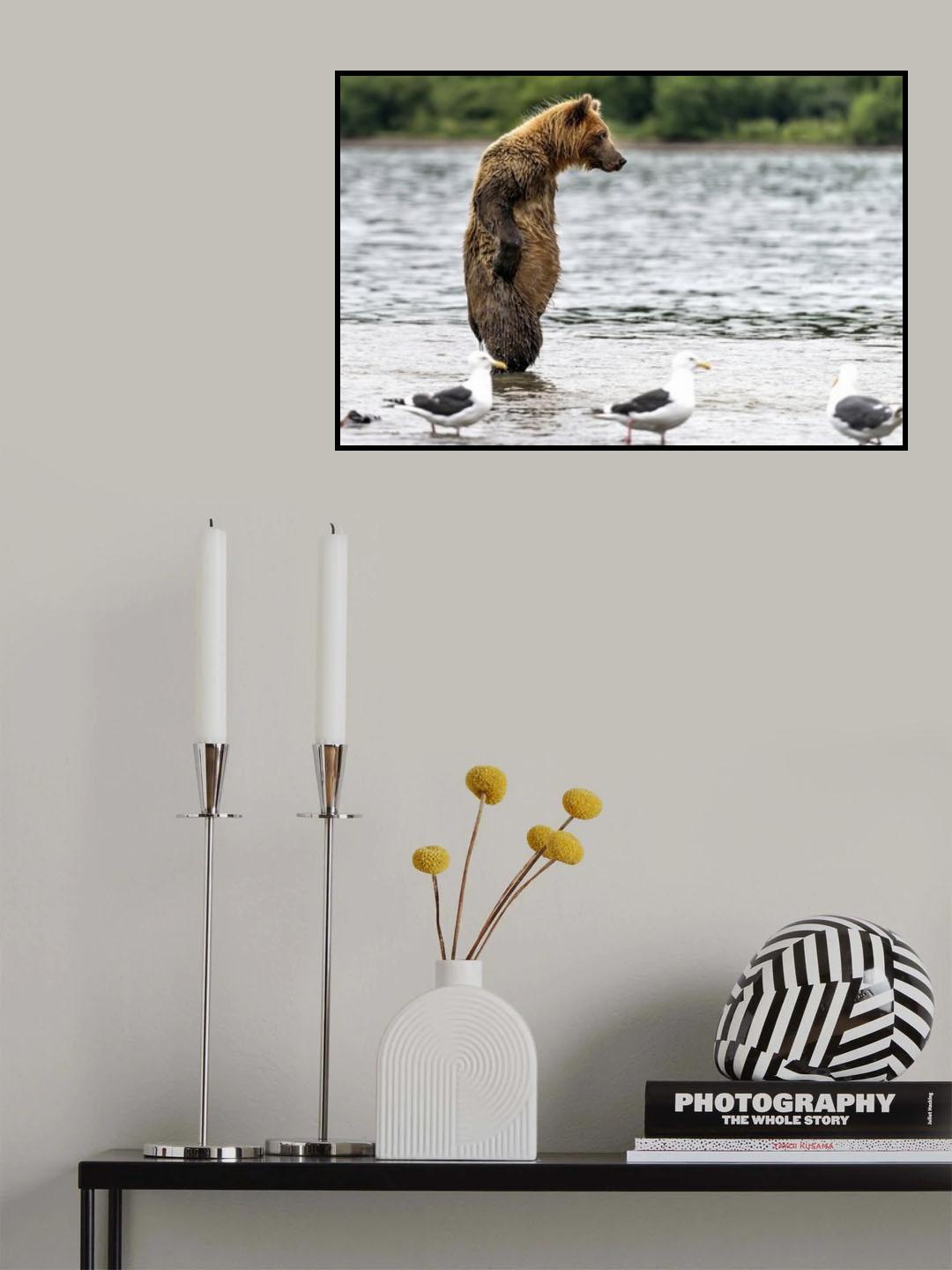 And now?? Poster och Canvastavla