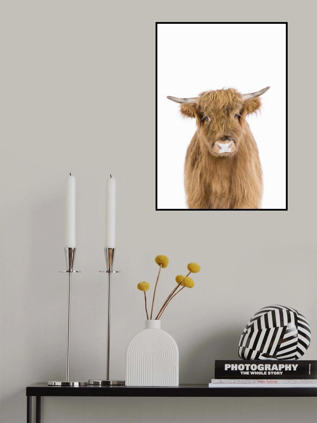 Baby Cow Poster och Canvastavla