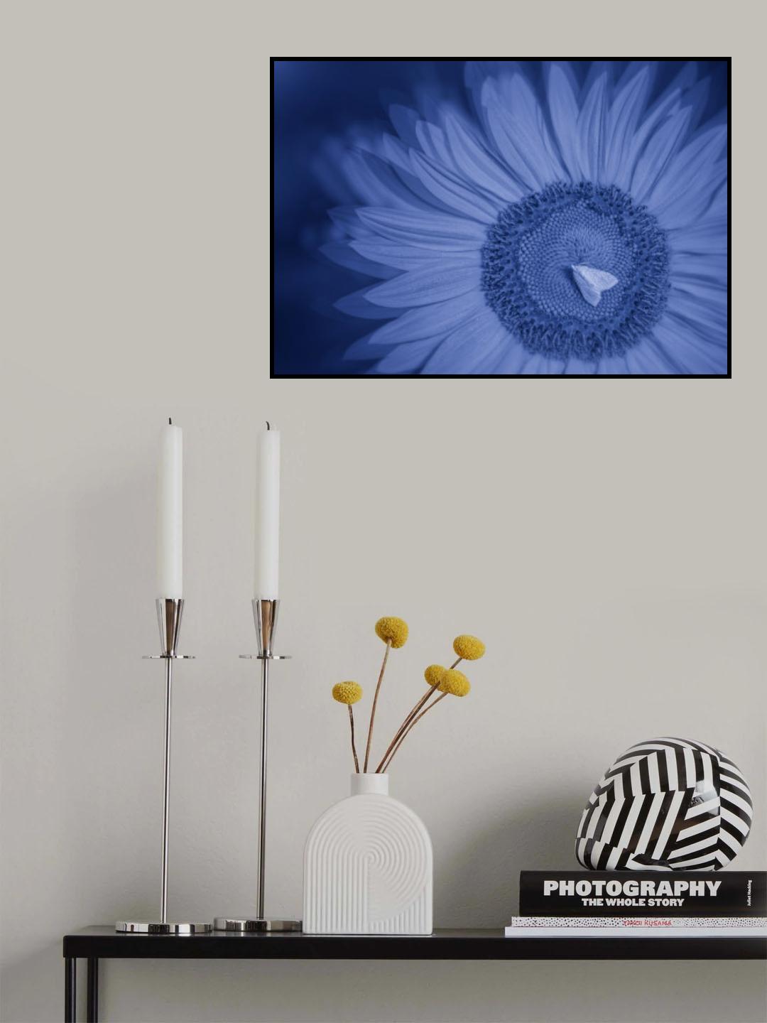 Summer Glow Poster och Canvastavla