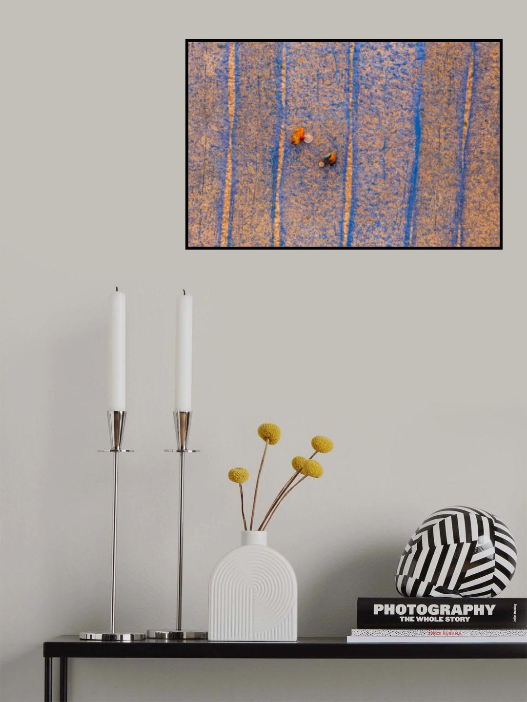 Shrimp dry in sun Poster och Canvastavla