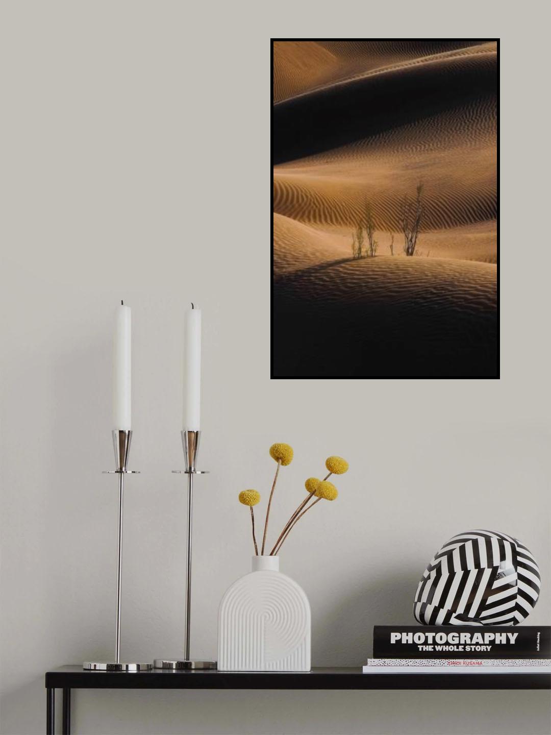 "Shadow And Light" Poster och Canvastavla