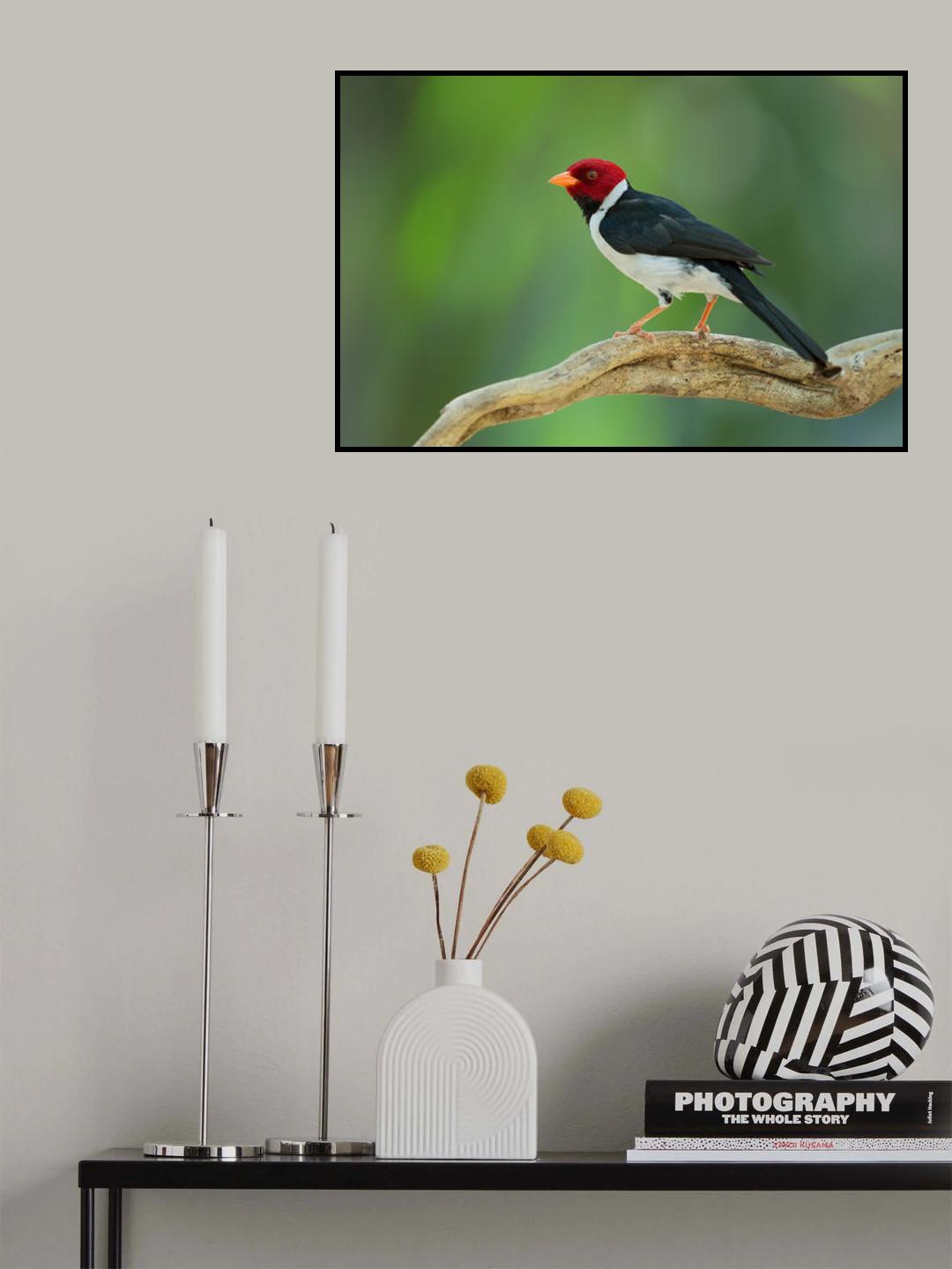 red head Poster och Canvastavla