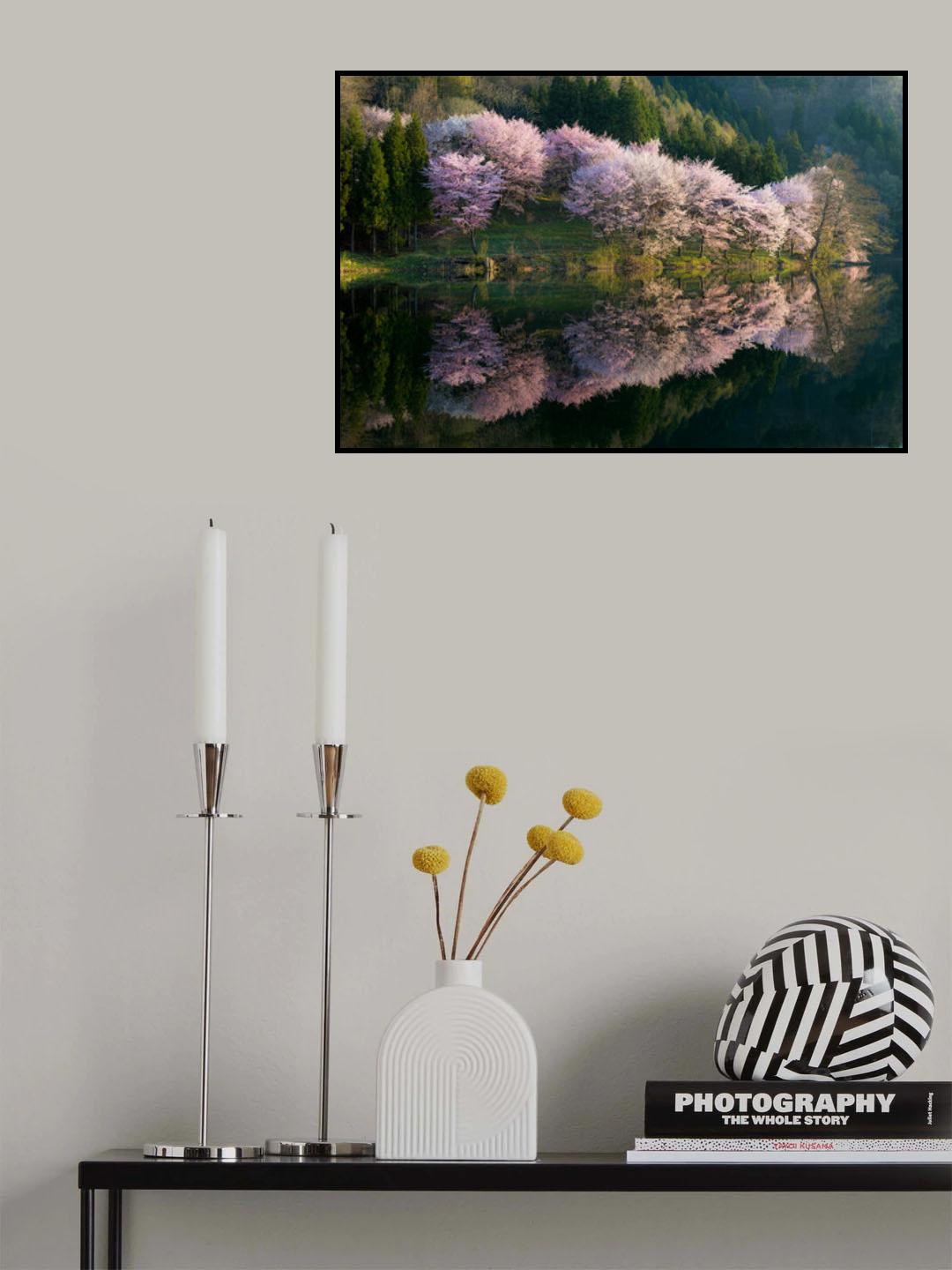Sakura Poster och Canvastavla