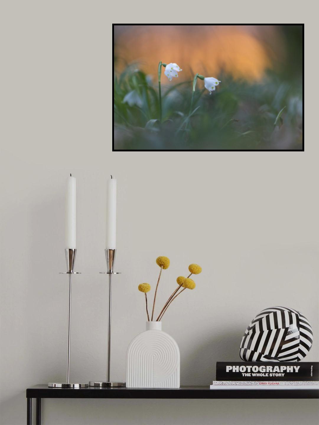 Close-up of white snowflake on field, sunset Poster och Canvastavla