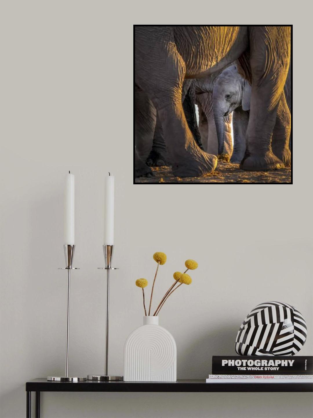 Maternal Love Poster och Canvastavla