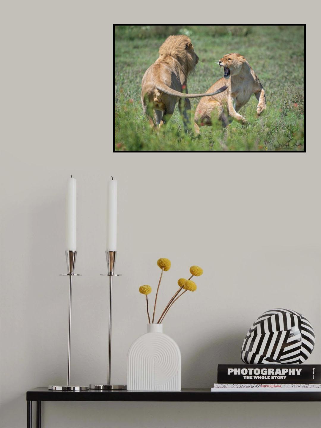 Love / Hate courtship Poster och Canvastavla