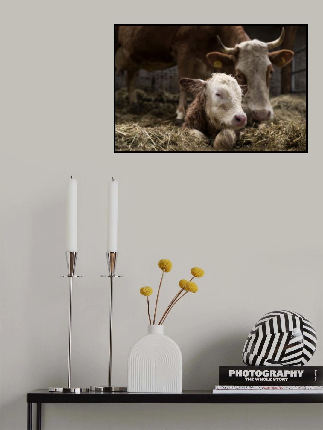 Caring Poster och Canvastavla