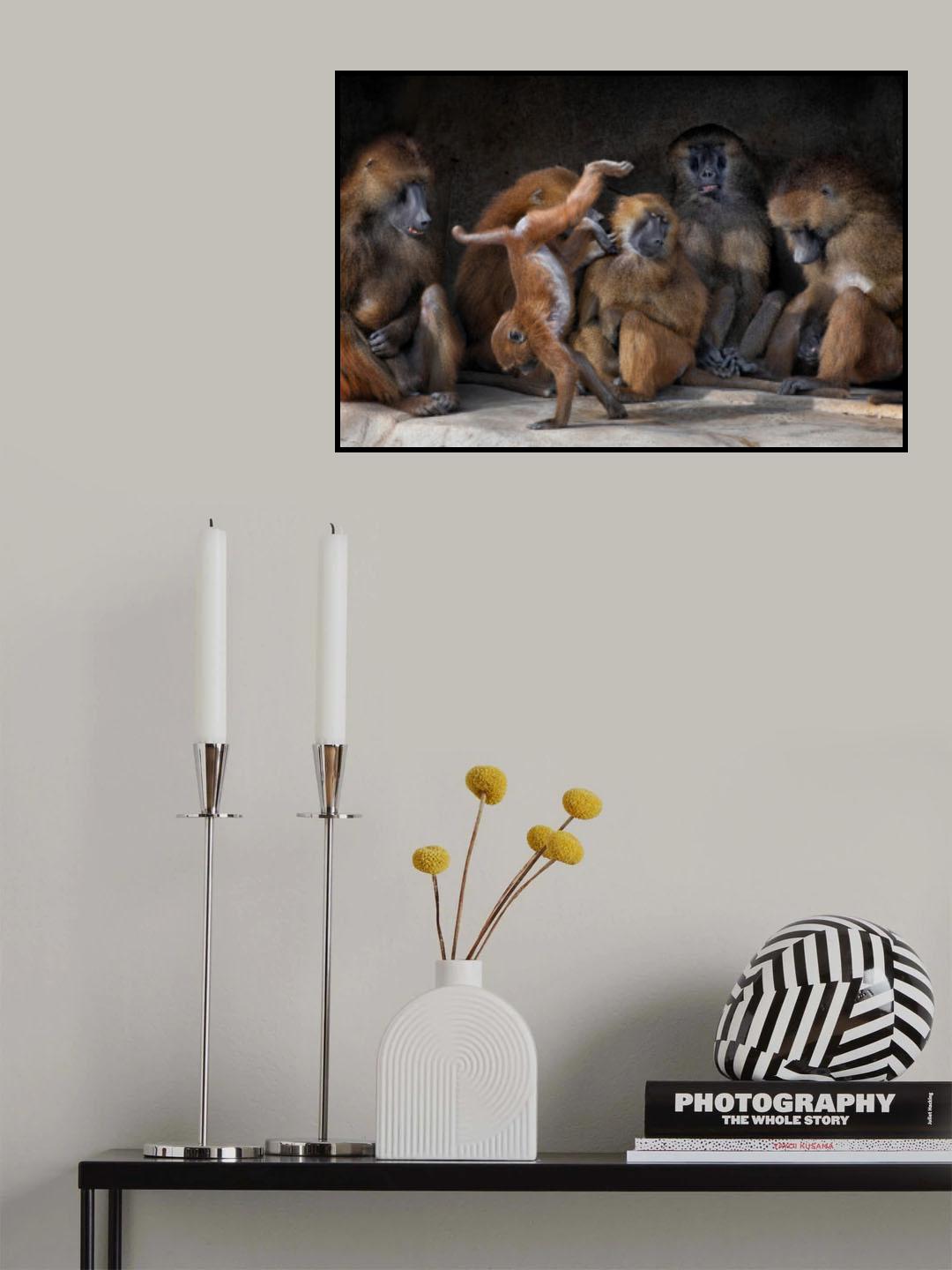 Family Scene - Papio Papio Poster och Canvastavla