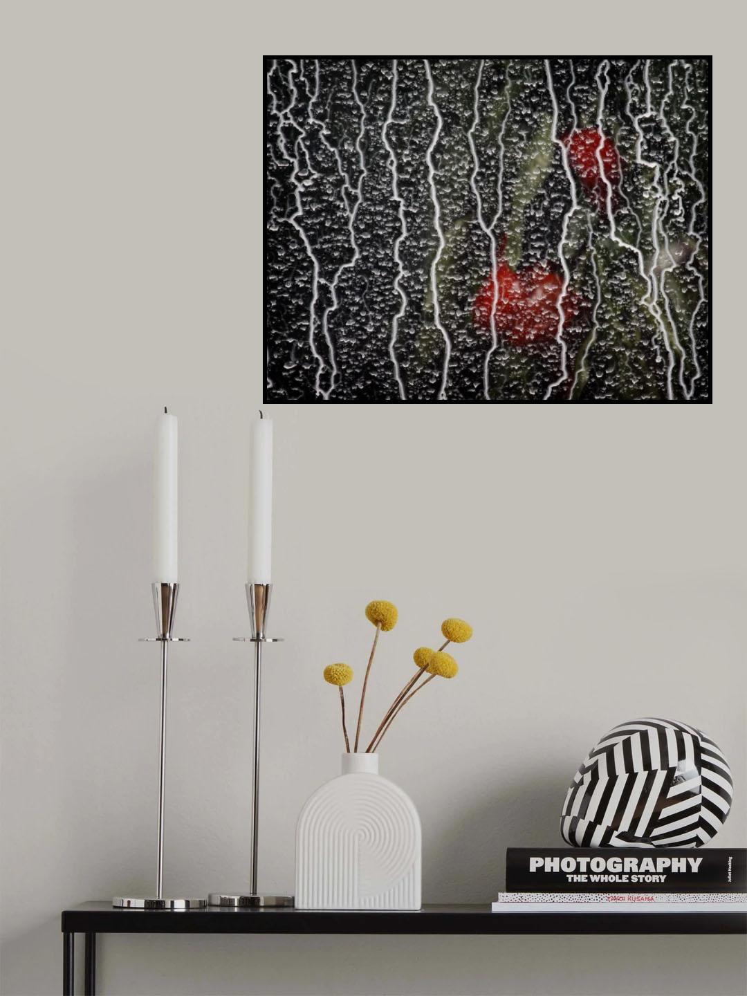 Life behind glass Poster och Canvastavla