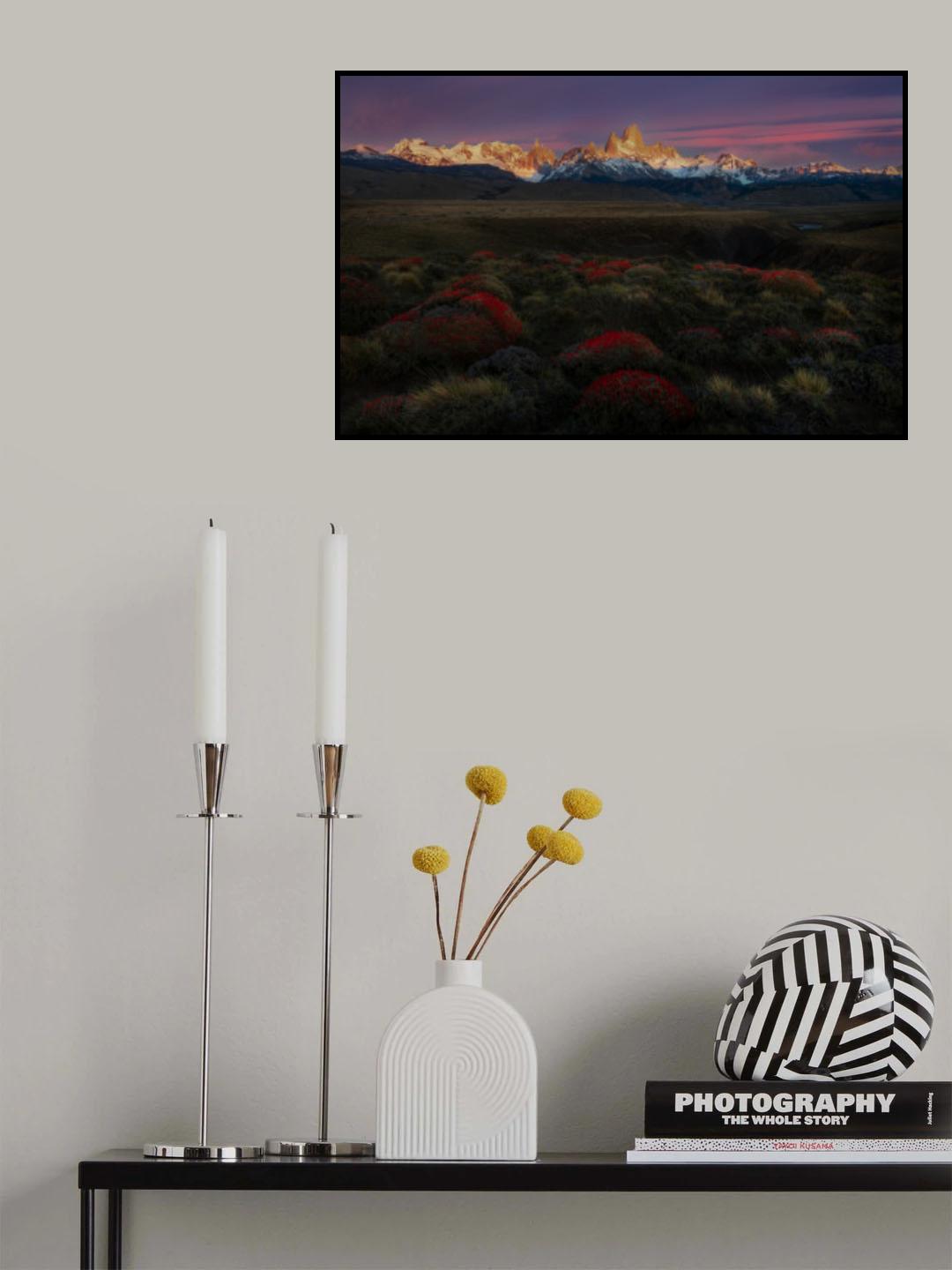 Spring in Torres del Paine Poster och Canvastavla