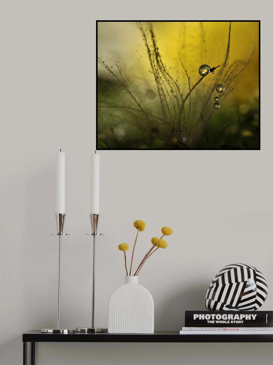 A golden morning shower Poster och Canvastavla