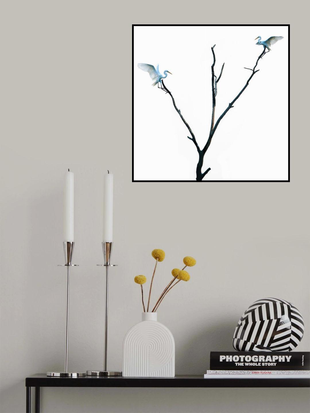 landing Poster och Canvastavla
