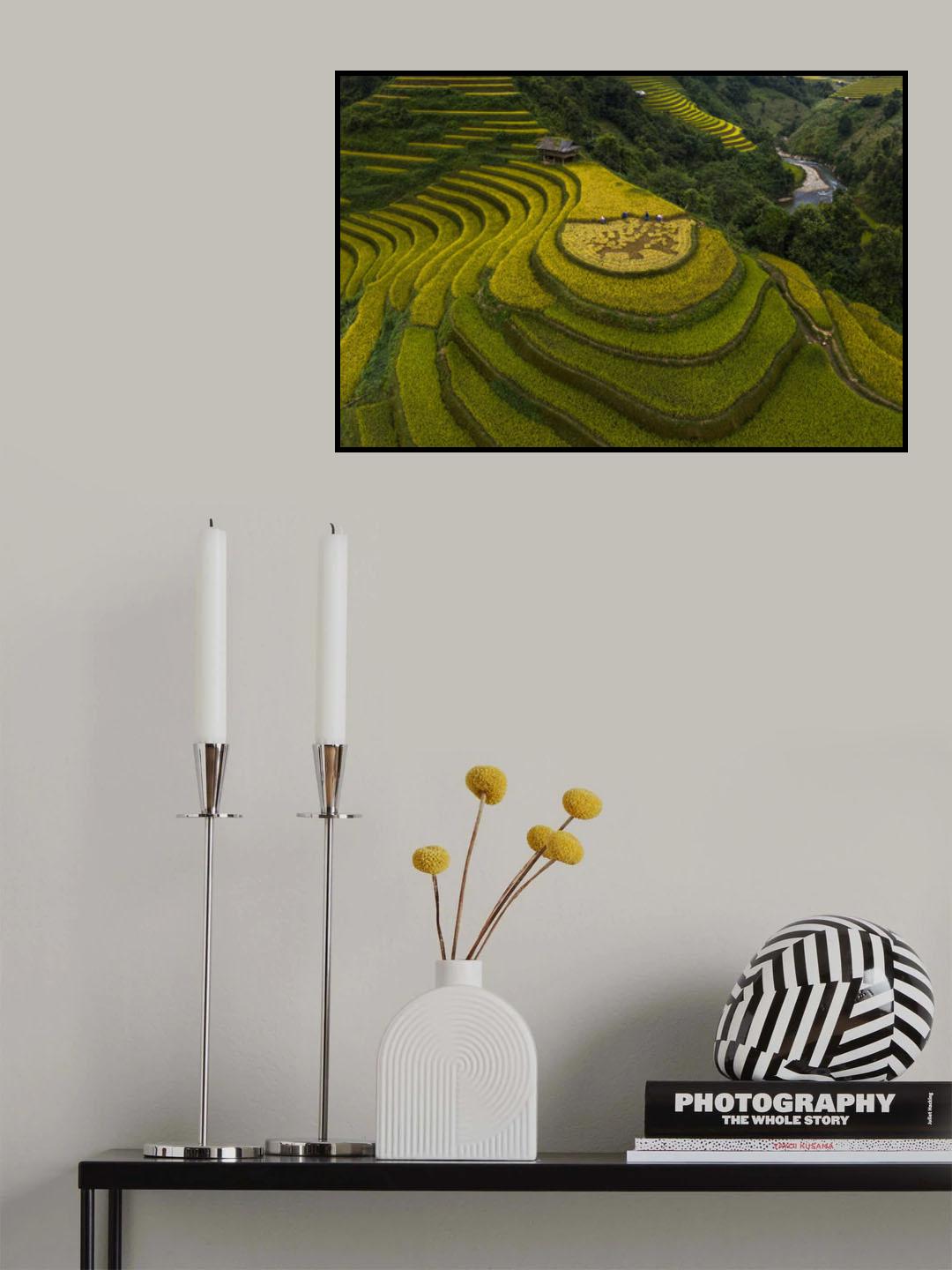 Mu Cang Chai - VietNam Poster och Canvastavla