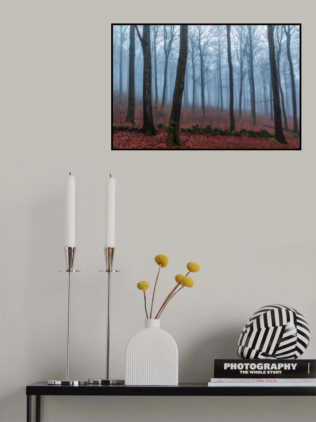 Misty Woods Poster och Canvastavla