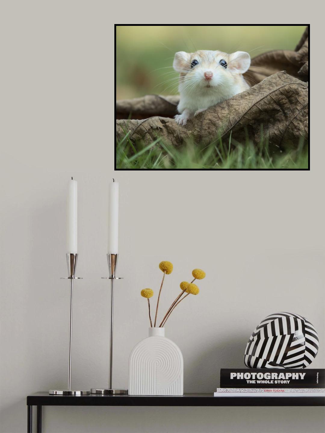 Say Hello Poster och Canvastavla