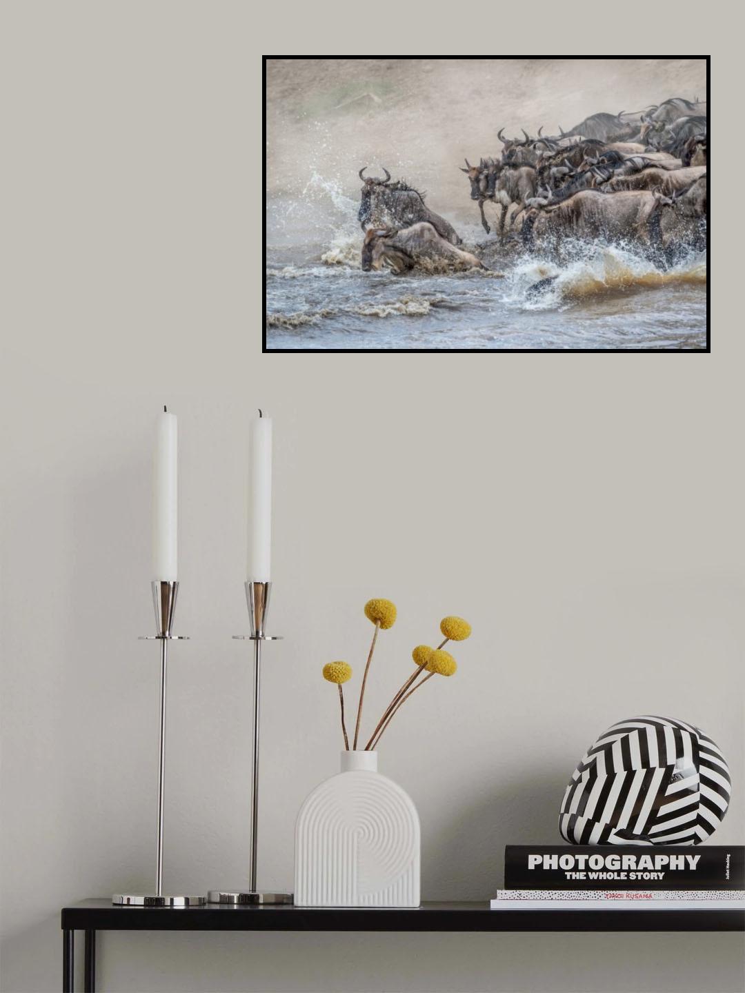 Survival and chaos of the crossing.... Poster och Canvastavla