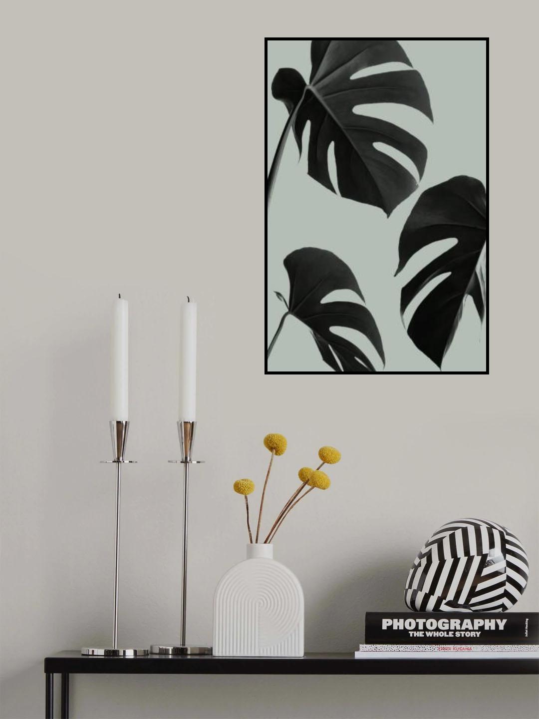Monstera Teal 05 Poster och Canvastavla