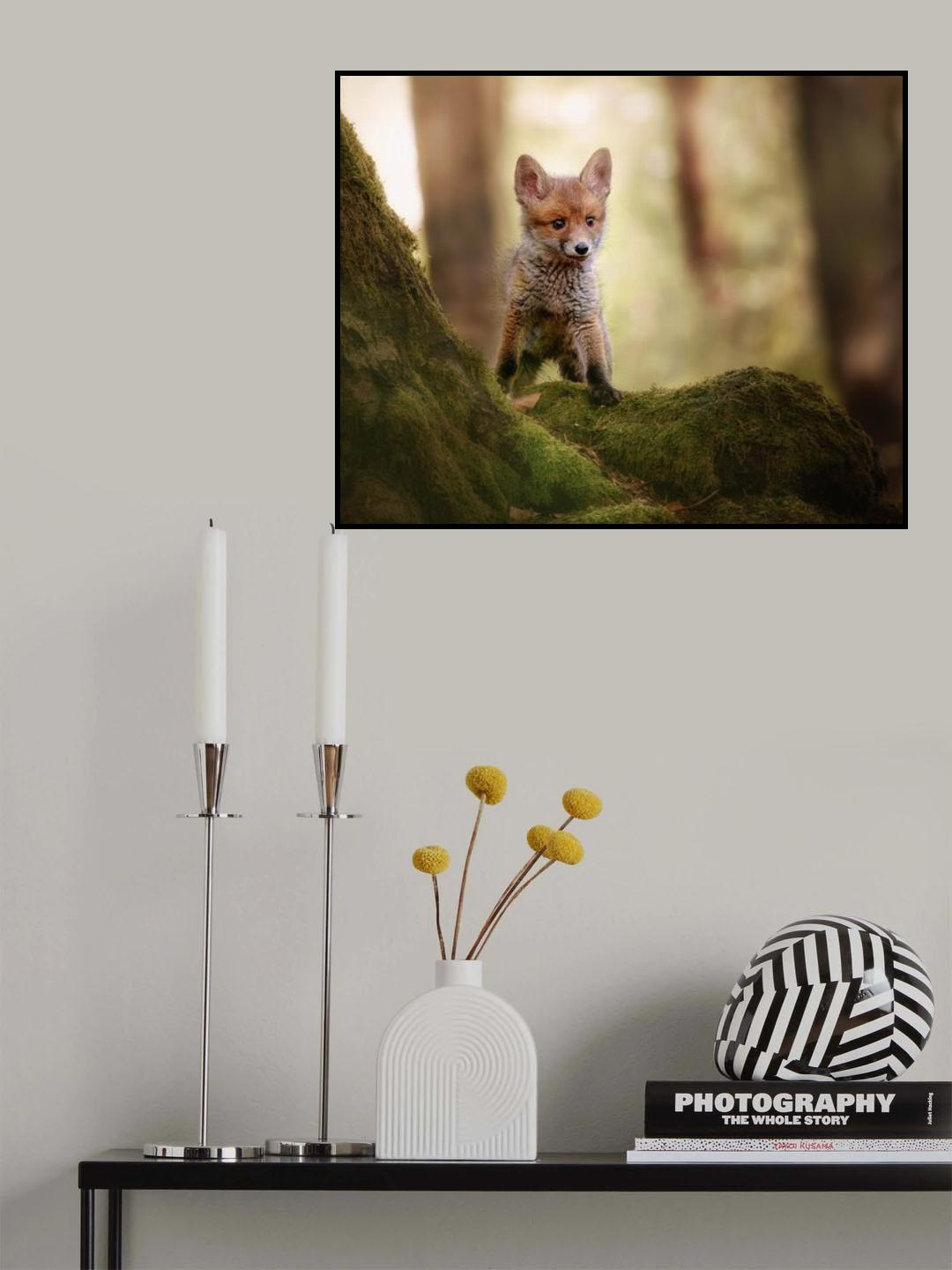 Fox cub Poster och Canvastavla