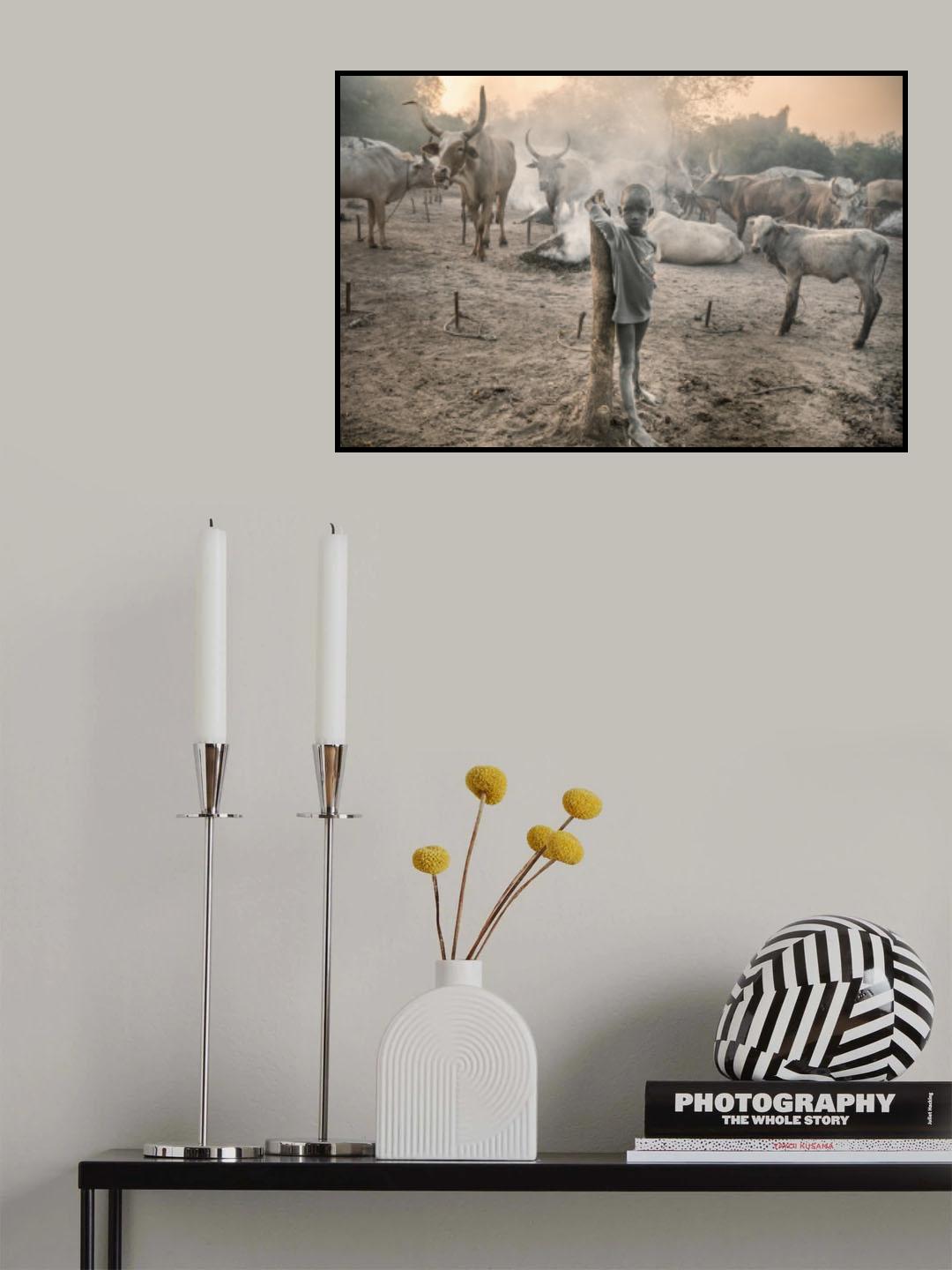 Young Mundari with his cattle Poster och Canvastavla