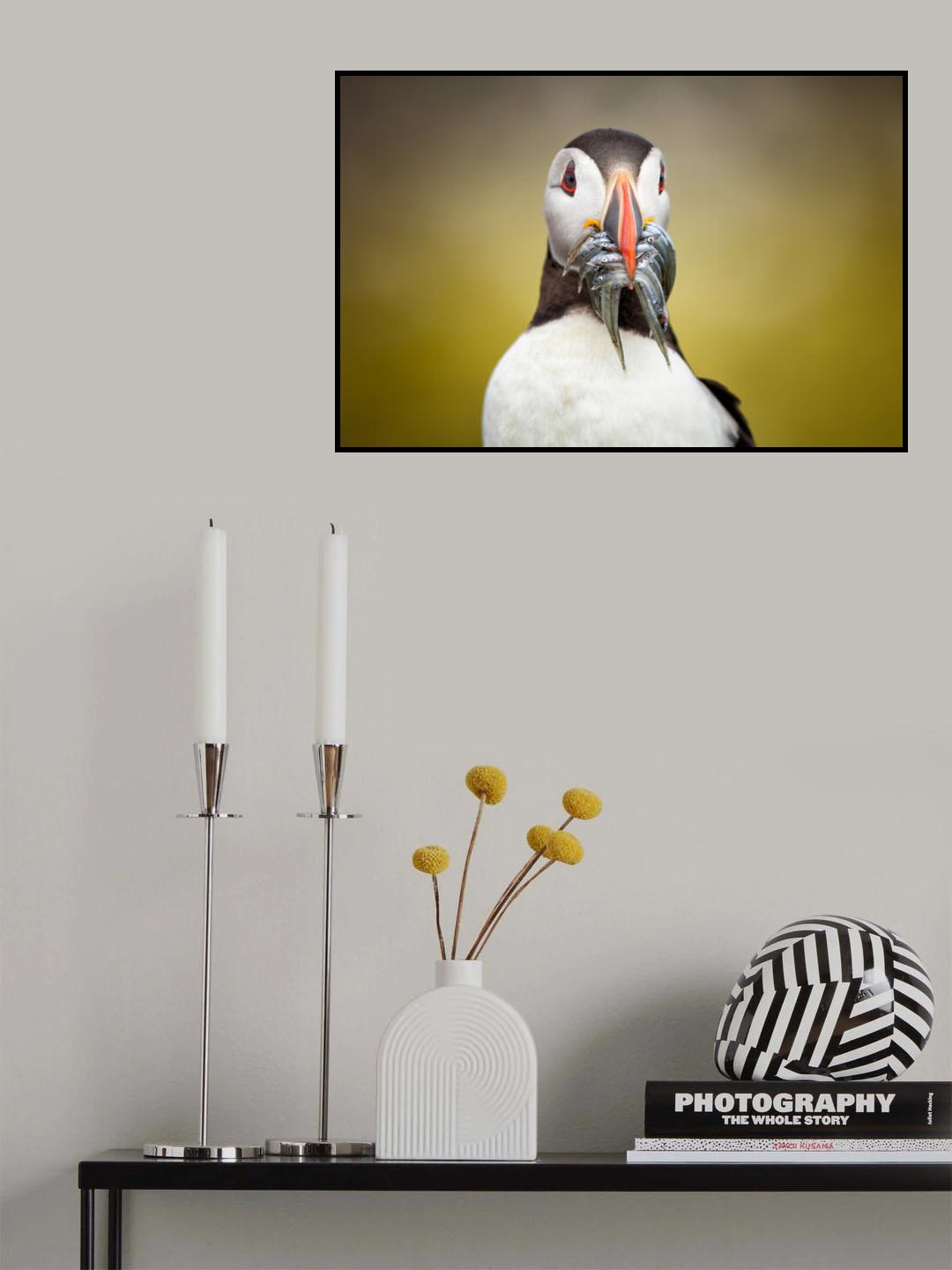 The Greedy One Poster och Canvastavla