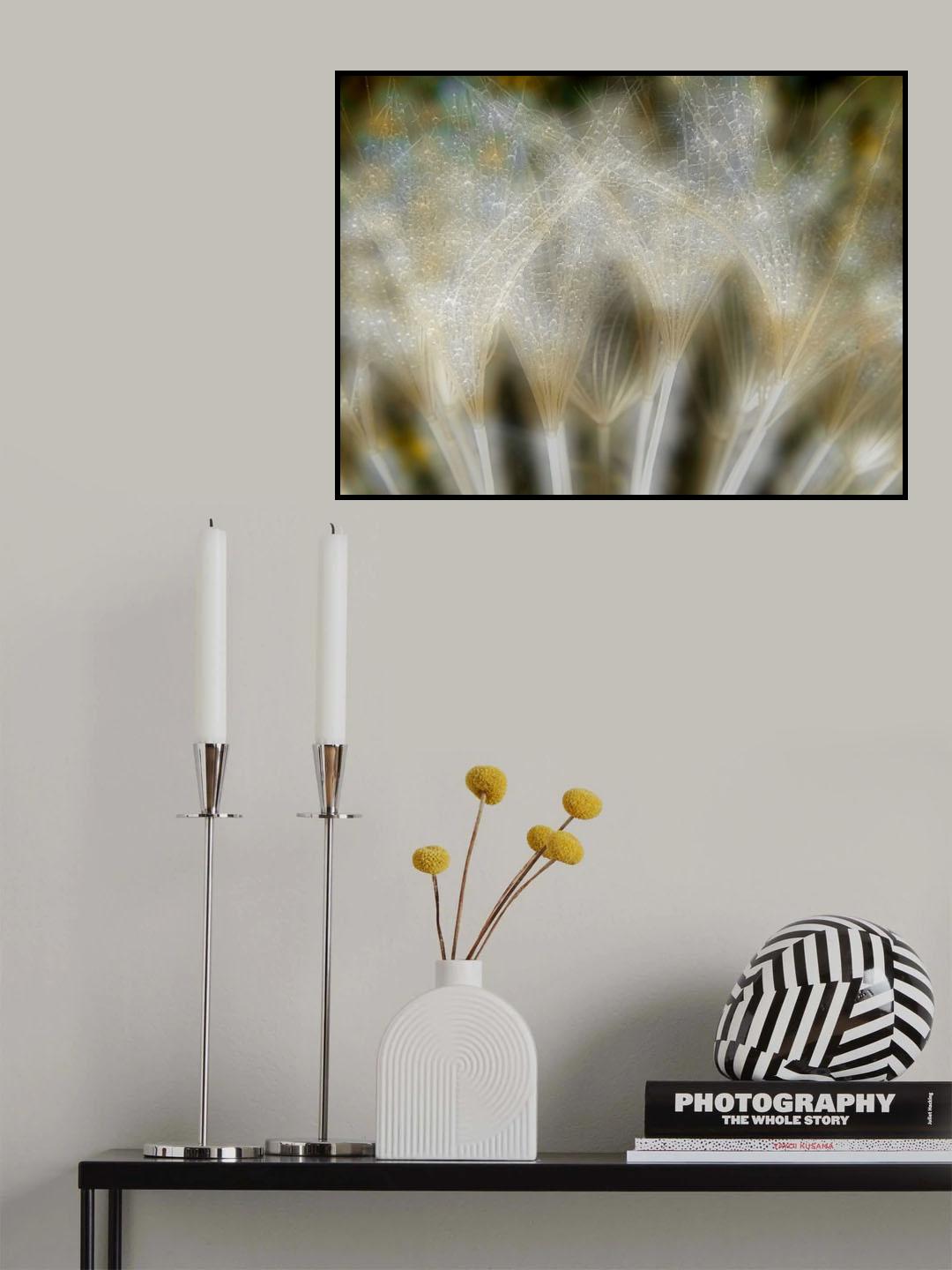 Fireworks nature... Poster och Canvastavla