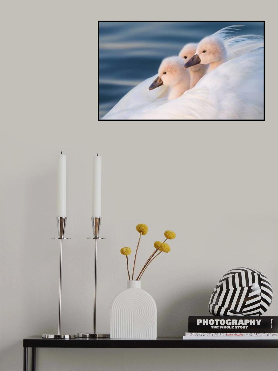 Angles back to earth. Poster och Canvastavla