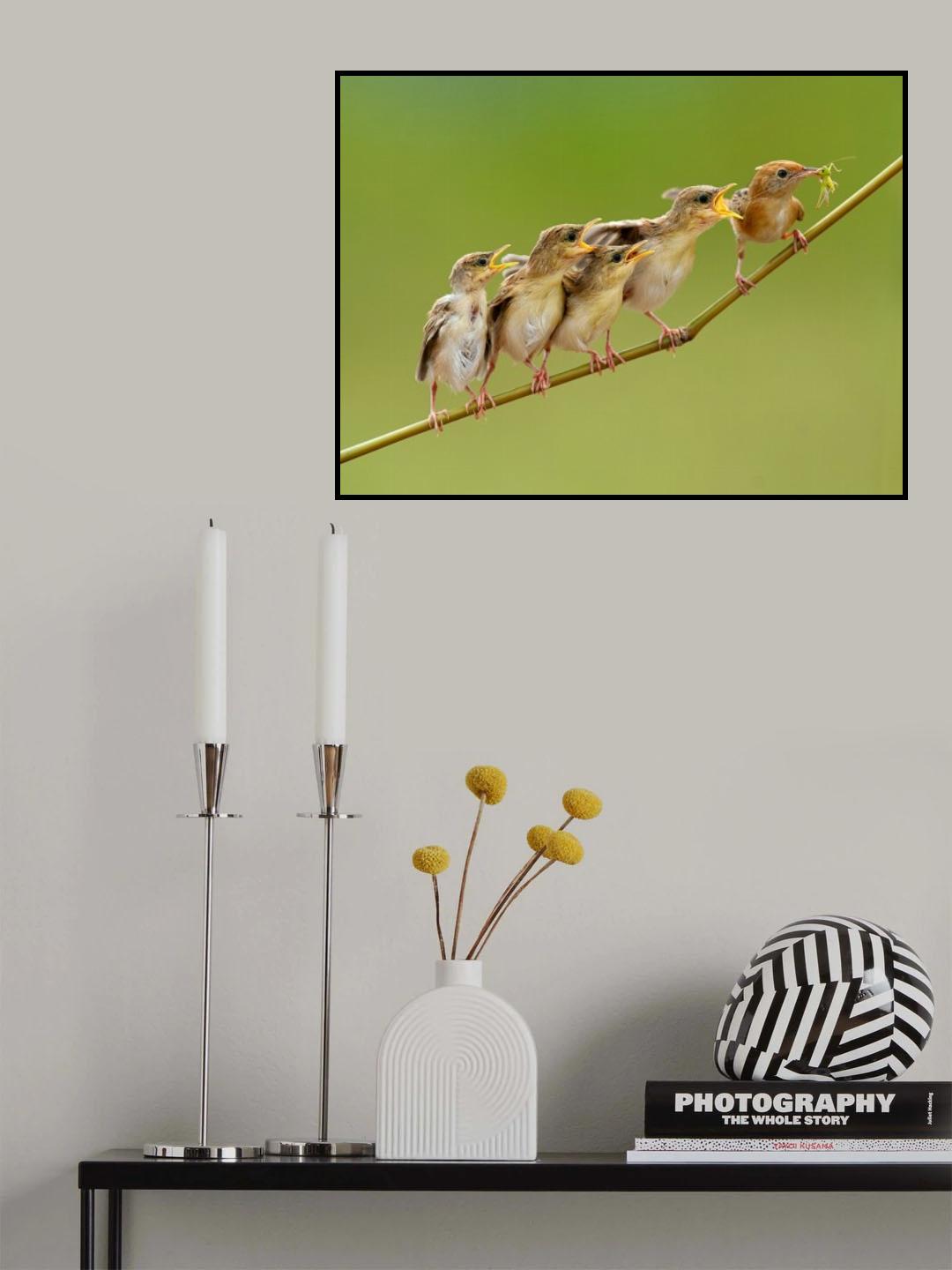 In Harmony Poster och Canvastavla