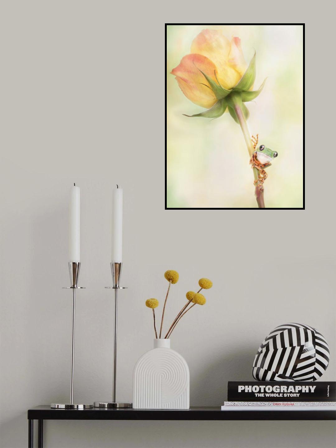 Tiger Leg Monkey Tree Frog Poster och Canvastavla