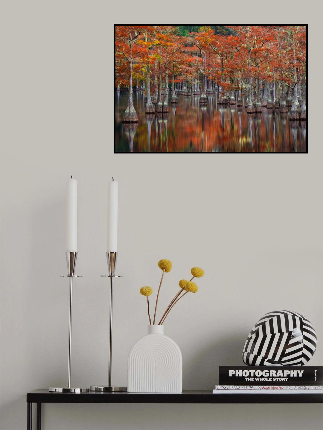 Quiet Cove Poster och Canvastavla