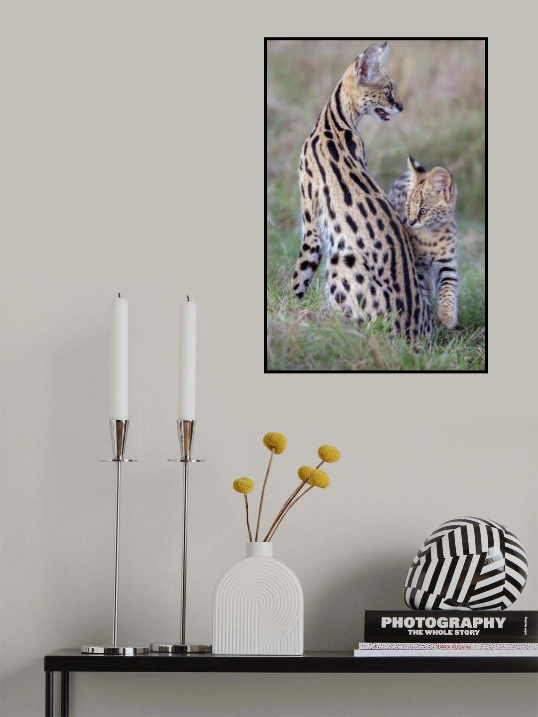Mother & Cub Poster och Canvastavla
