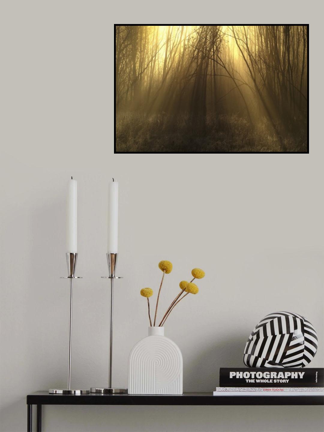 Autumn light. Poster och Canvastavla
