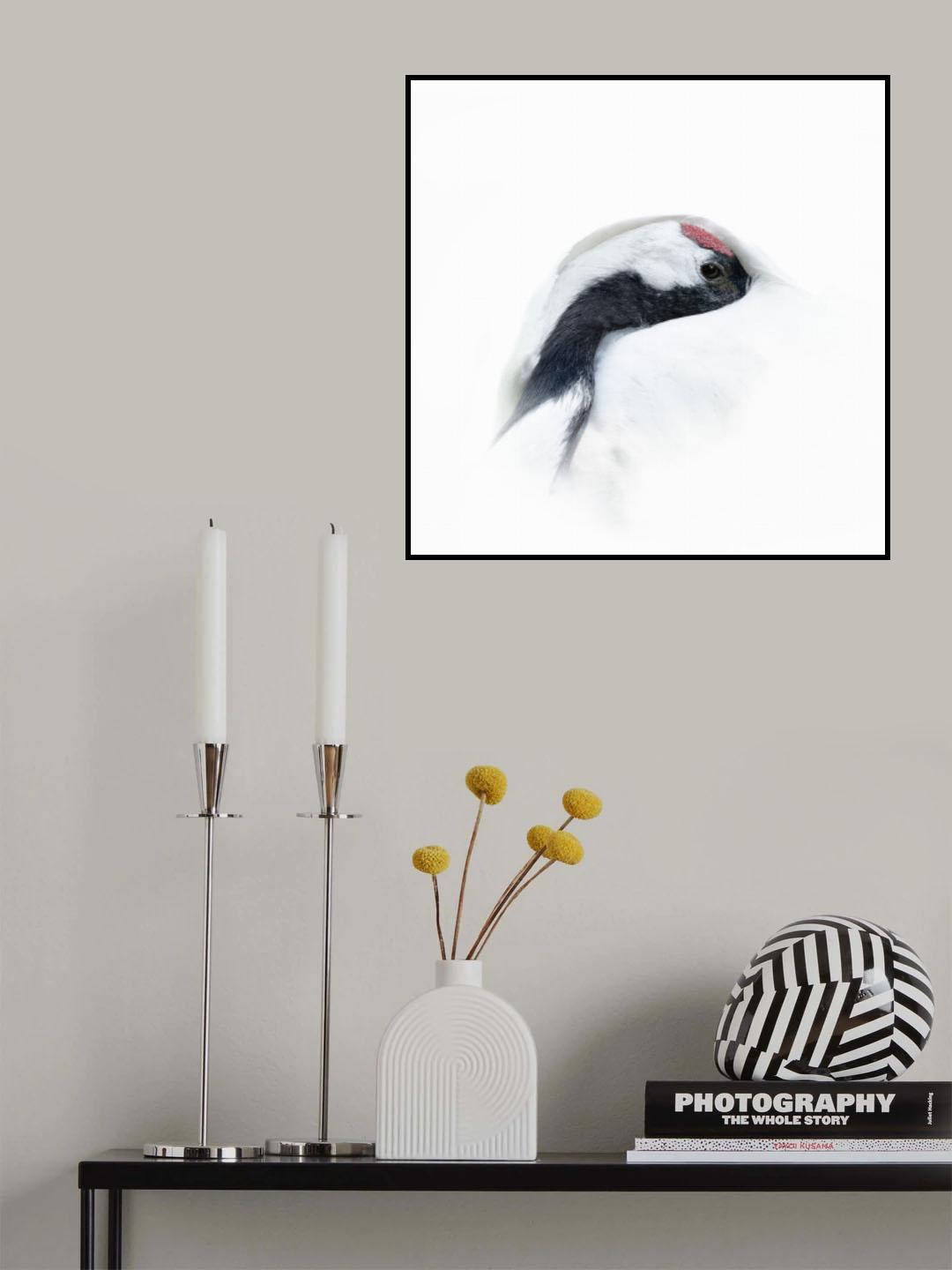 Red-crowned crane Poster och Canvastavla