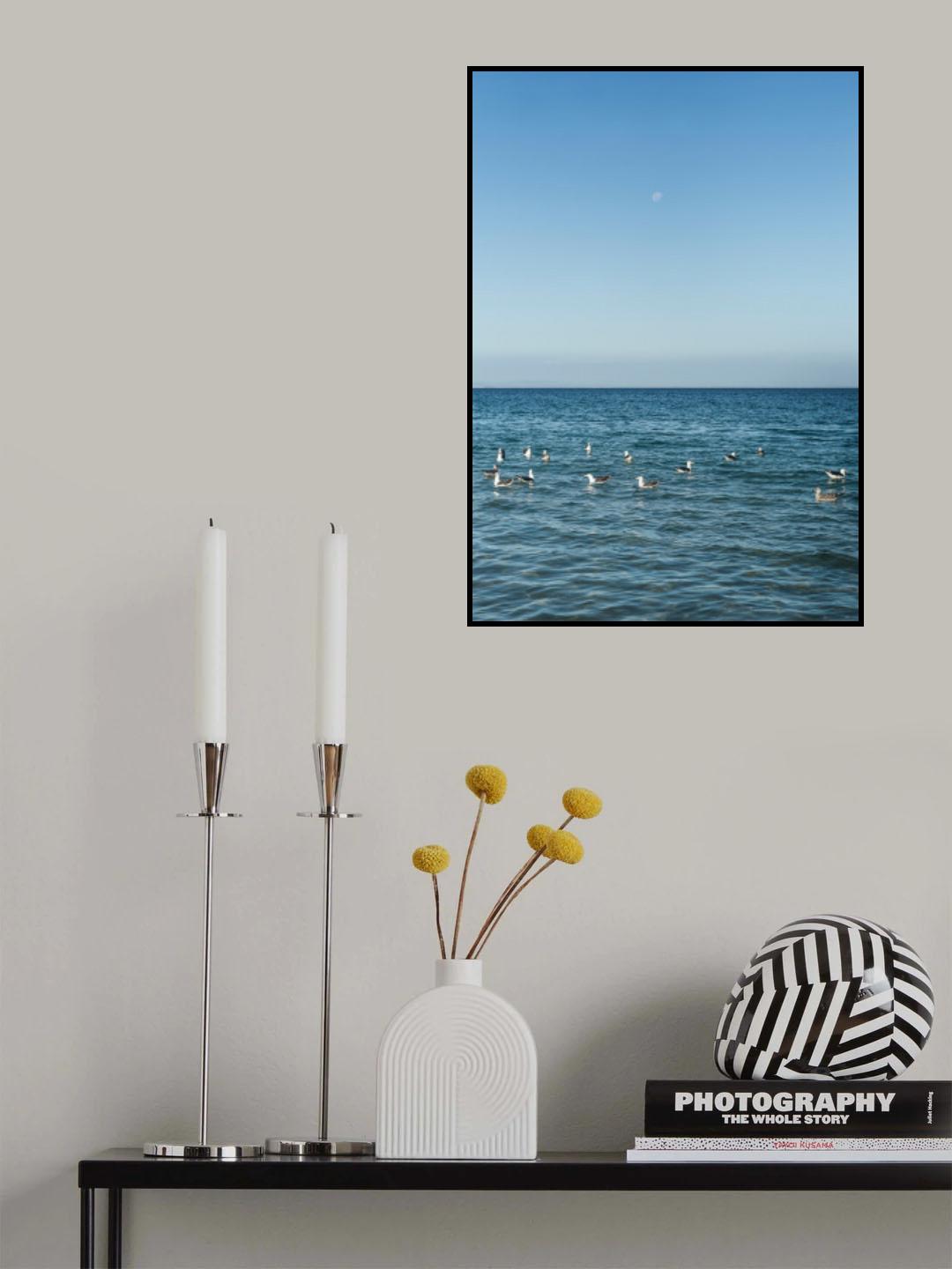 Sundaze Poster och Canvastavla