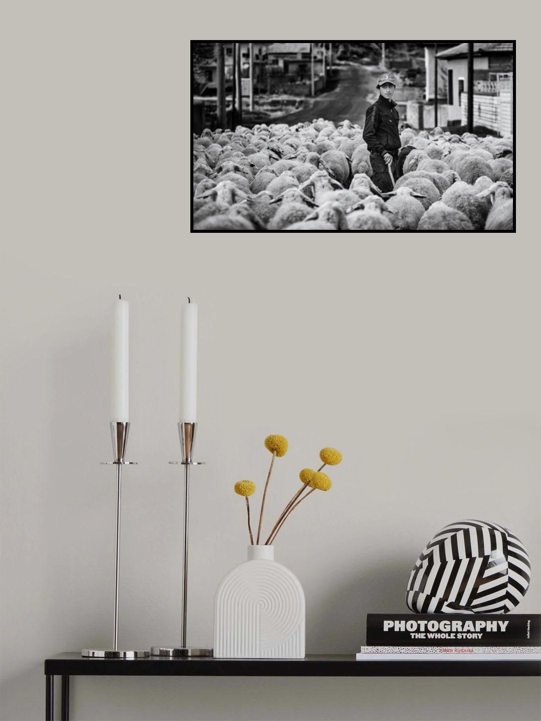 Shepherd Boy Poster och Canvastavla