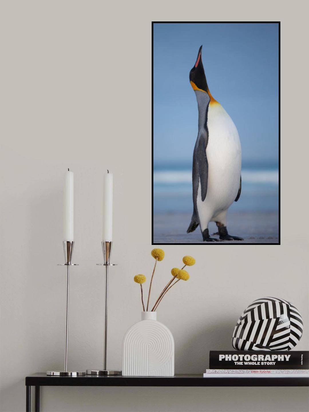 A noble King Poster och Canvastavla