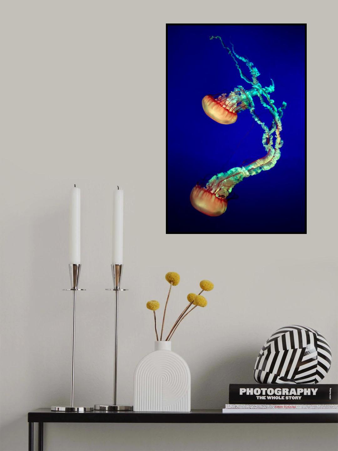 Jelly Fish Poster och Canvastavla