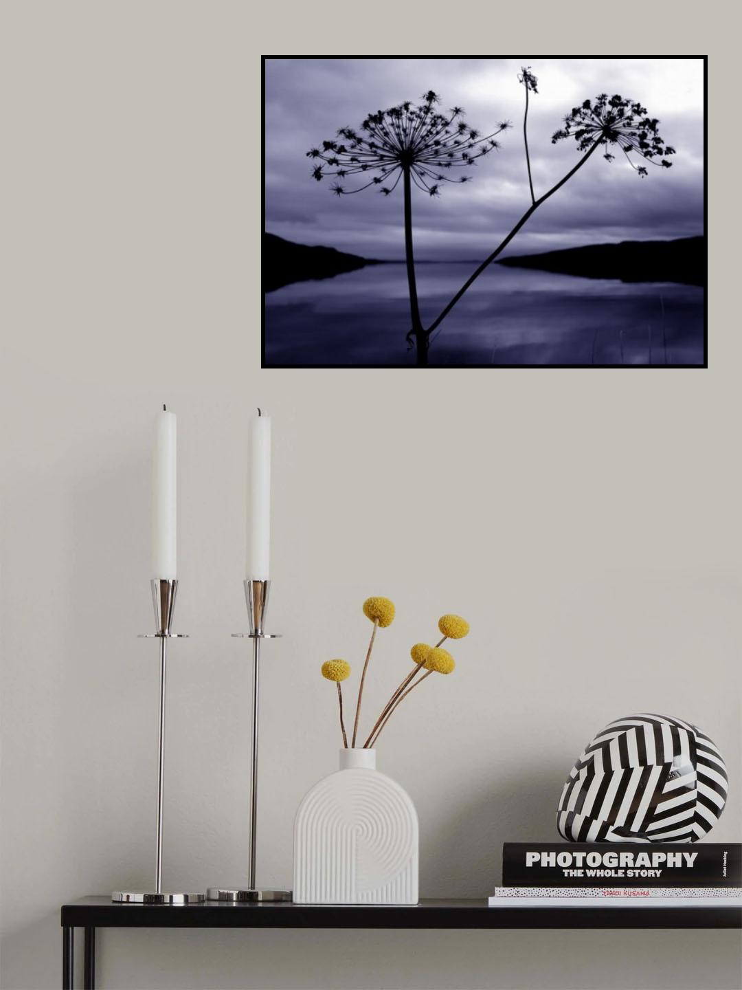 Bare Poster och Canvastavla